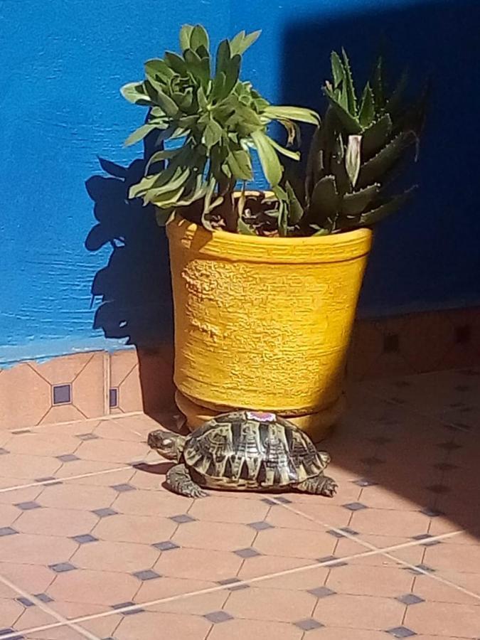Riad Zinnha Марракеш Экстерьер фото
